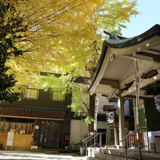 秋の神社境内と黄色く色づいた木々