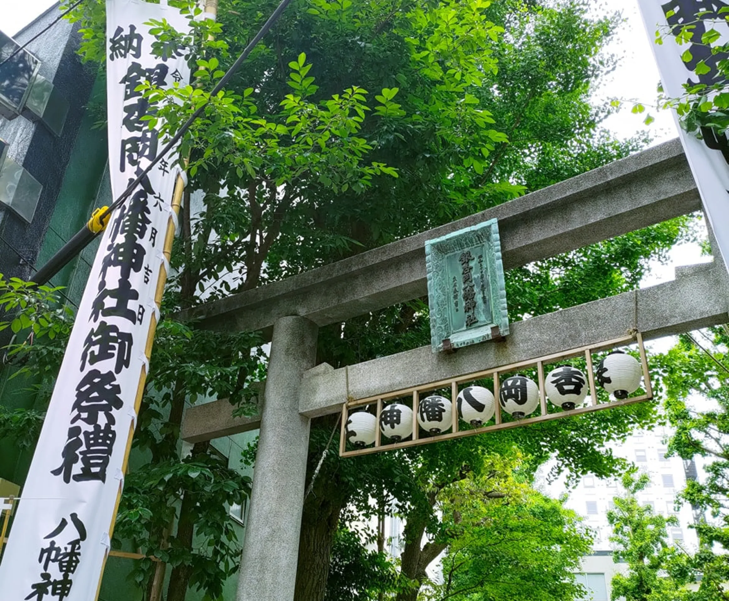 新緑に包まれた神社の石鳥居